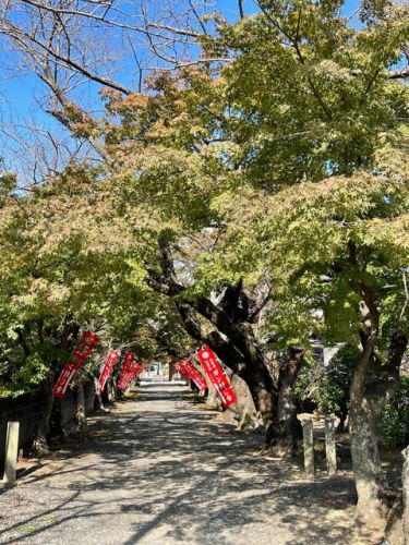 愛知(蒲郡)・無量寺(西浦不動)
