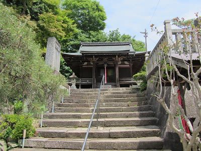 彦根の長久寺「源頼朝手植え梅」