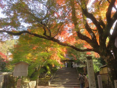安楽寺(2021年11月20日参拝)