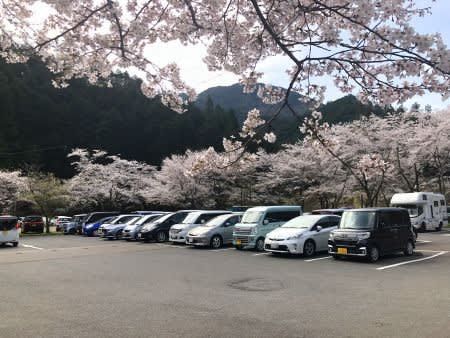 寺尾千本桜公園