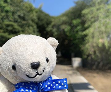酒列磯前神社の参道も見事でした