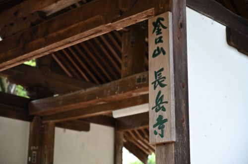 長岳寺の杜若と躑躅