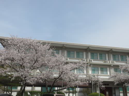辯天宗冥應寺(2022年4月2日参拝)