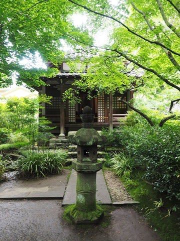 北鎌倉 明月院を参拝 3