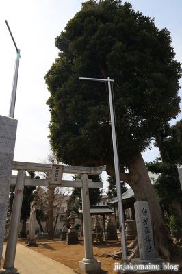 伊弉諾神社 市川市堀之内