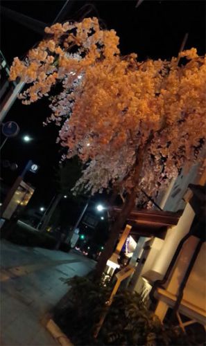 七年に一度の御開帳!「善光寺」@長野県(夜・その1)