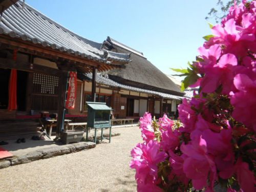 金剛寺 山門から本堂へ (奈良県五條市野原西) <金剛寺 其の壱>