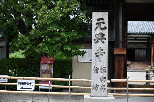 元興寺の桔梗