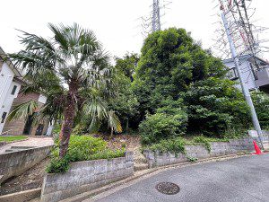 正一位稲荷大明神(横浜市港北区大倉山6丁目) - 太尾の雑木林の中に佇む小祠