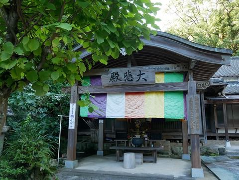 間近くで釈迦如来坐像を眺める 九州西国霊場第二番「長谷寺」【大分県中津市】
