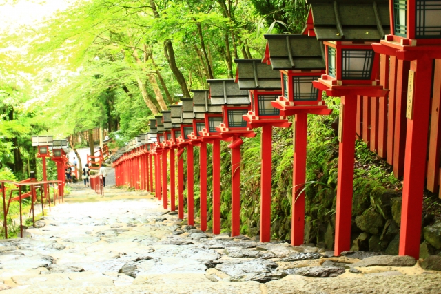 慈眼寺のしだれ桜 2020年の見頃と開花状況は?アクセス方法と駐車場は?|埼玉県坂戸市